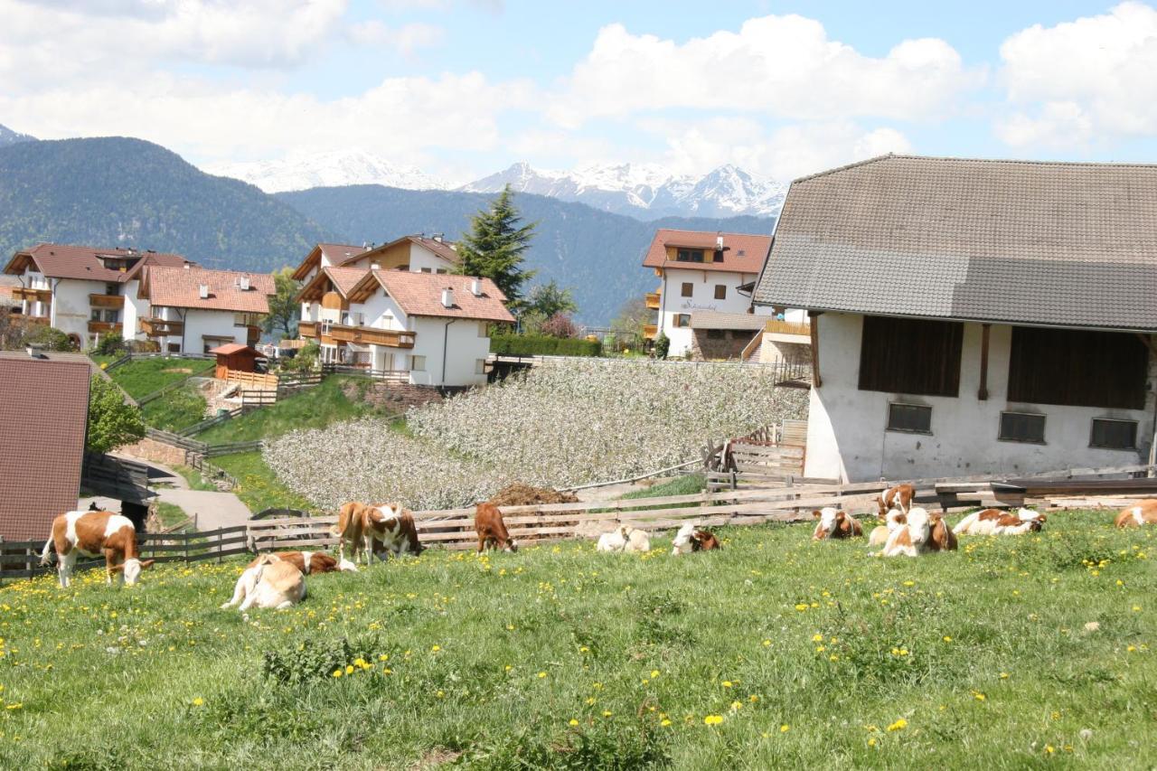Schoetzerhof Meltina Esterno foto